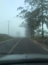 Notícia - Neblina toma a região na manhã desta segunda-feira (FOTOS)