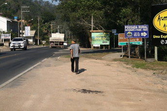 Notícia - Com corte de árvores, trânsito terá alterações na SC-390