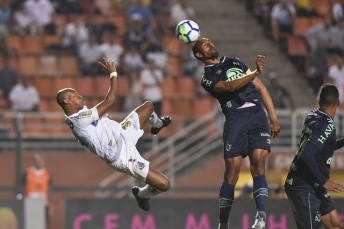 Notícia - Chape vence o Santos mas segue no Z-4