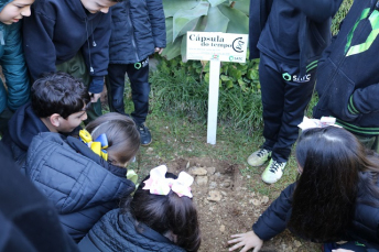 Notícia - Semana do Meio Ambiente inicia na próxima segunda-feira