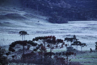 Notícia - Novembro mais frio da história 