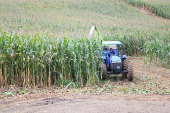 Notícia - Agricultores têm apoio para o preparo da silagem em Nova Veneza