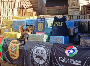 Notícia - Com quase duas toneladas de maconha em carreta, homem é preso na BR-280