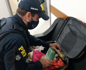 Notícia - PRF apreende 1,5 quilo de maconha dentro de mala