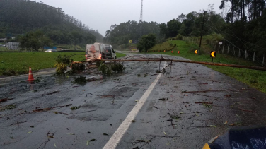 Notícia - PRF alerta: 