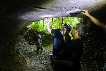 Notícia - Quais os próximos passos no Geoparque Caminhos dos Cânions do Sul 