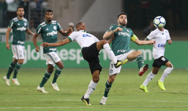 Notícia - Palmeiras quase campeão