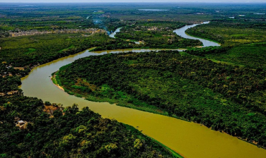 Notícia - Perícia afirma que incêndio no Pantanal foi intencional