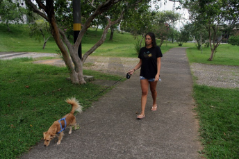 Notícia - Parque da Prefeitura em obras a partir de março