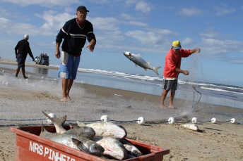 Notícia - 2 de fevereiro, um dia especial para os pescadores