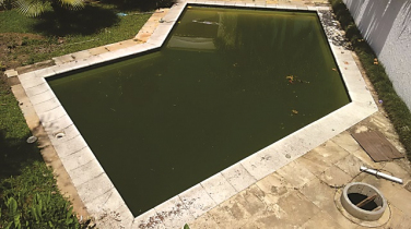 Notícia - Riscos da piscina abandonada