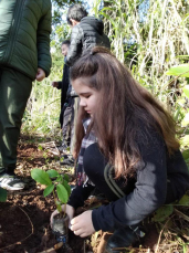 Notícia - Estudantes plantam mudas nas margens de rio em Turvo 