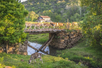 Notícia - Um sábado de atrações na primavera de Nova Veneza