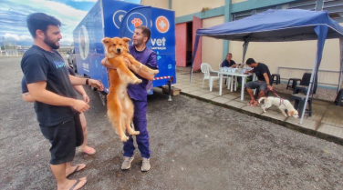 Notícia - Nova Veneza: Programa promove 400 castrações em quatro meses de atuação