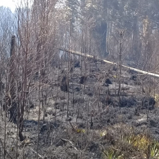 Notícia - Queimadas irregulares causam danos ao sistema elétrico