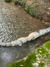 Notícia - Resíduos poluentes no Rio Criciúma motivam projeto de construção de ecobarreiras