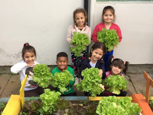 Notícia - Concurso de Hortas Escolares movimenta rede municipal em Criciúma