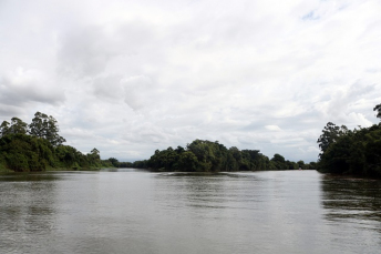 Notícia - De volta às origens: um passeio pelo Rio Araranguá