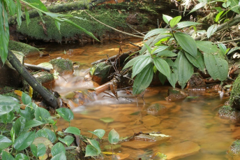 Notícia - Jornalismo Ambiental: A Tribuna fatura dois prêmios IMA