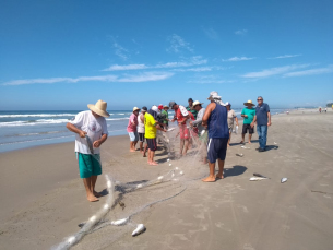 Notícia - A falta de tainha que preocupa os pescadores