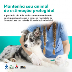 Notícia - 954 animais vacinados contra a raiva na região de Gravatal