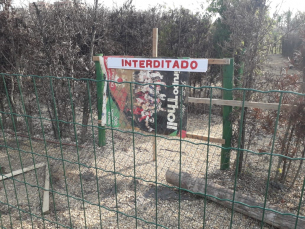 Notícia - Labirinto verde segue fechado no Parque dos Imigrantes