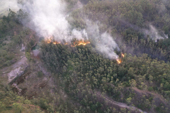 Notícia - Combate a incêndio em mata de Urussanga continua nesta terça-feira