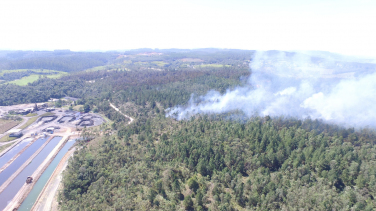 Notícia - Incêndios castigam área rural de Urussanga (VÍDEO)