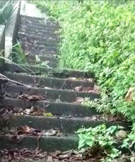 Notícia - Moradores reclamam de escadaria da Rua Santo Antônio (VÍDEO)