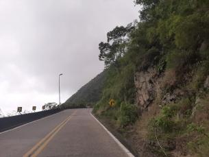 Notícia - Matagal no acostamento da Serra do Rio do Rastro