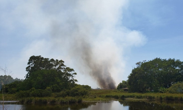 Notícia - Mais um incêndio atinge a vegetação no Arroio do Silva (FOTOS)