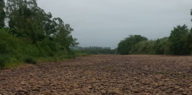 Notícia - Rio que abastece Turvo seca e deixa população em alerta