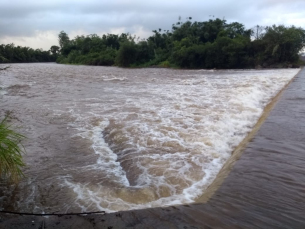 Notícia - Volta a água no rio que abastece Turvo