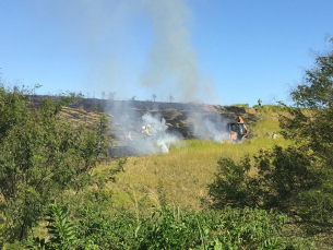 Notícia - Amrec contabiliza 350 incêndios em 2020