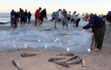 Notícia - Pesca da tainha não vem rendendo nos últimos dias 