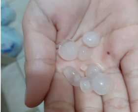 Notícia - Chuva de granizo em Içara (VÍDEO)