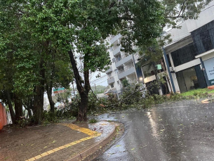 Notícia - Temporal: três mortos e um desaparecido no estado