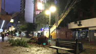 Notícia - Blumenau também sofre com o temporal