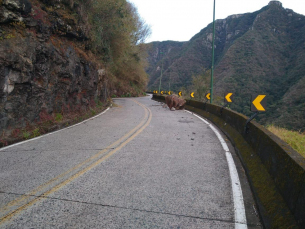 Notícia - Rocha cai na Serra do Rio do Rastro e deixa trânsito em meia pista