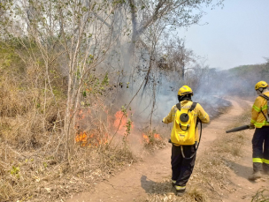 Notícia - Corpo de Bombeiros alerta para o aumento de incêndios em vegetação