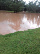 Notícia - Forte chuva deixa ruas de Urussanga alagadas (VÍDEO) 