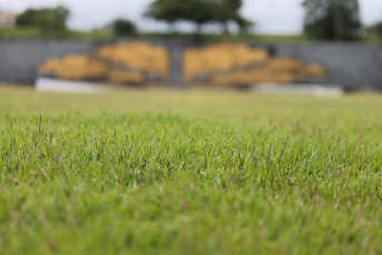 Notícia - Criciúma inicia reformas no gramado do CT