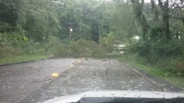 Notícia - Árvores caídas e ruas alagadas compõe o cenário de quarta-feira em Criciúma (VÍDEO)