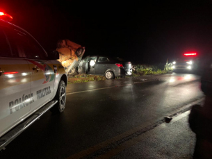 Notícia - Jovem de 21 anos morre em acidente na Serra Catarinense 