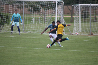 Notícia - Sem o 10 de origem, Tigre pode atuar no 4-4-2 no Catarinense