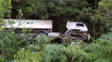 Notícia - Caminhão sai da pista e tomba em rodovia na Serra Catarinense 