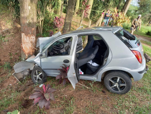 Notícia - Jovem colide com árvore e tem ferimentos graves