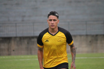 Notícia - Dudu pode ser relacionado no domingo contra o Joinville