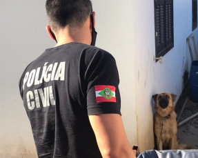 Notícia - Cão que sofria maus-tratos se assusta até com chegada de policiais para resgatá-lo