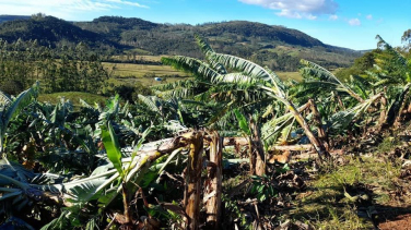 Notícia - Rajadas de vento causam estragos no sul de Santa Catarina (FOTOS E VÍDEO)